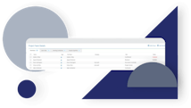 Meridian Cloud Project team details user interface; project roles privileges