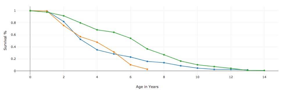 accruent_healthcare_blog-posts_drive-smarter-decisions-big-data-graph